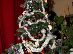 img_5462