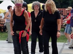 Donauinselfest Juni 2011