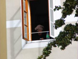 img_4312_prot
